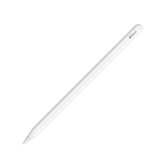 Apple Pencil (2nd generation): Enhance your iPad drawing experience.